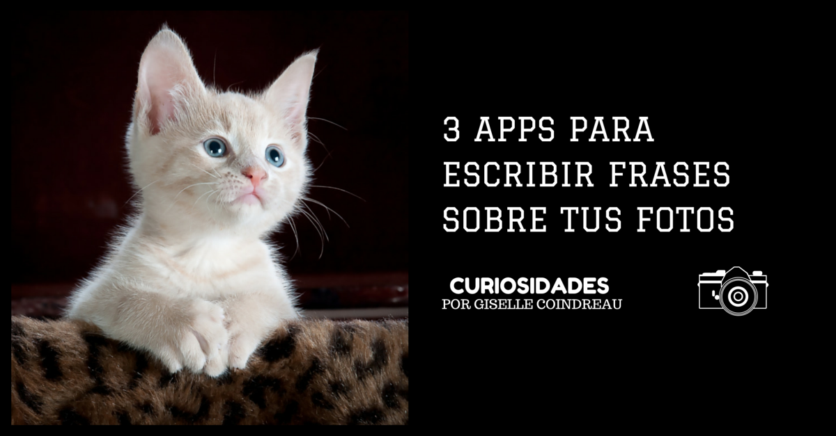 3 Apps Para Frases Sobre Fotos -