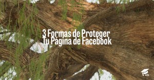 3 Formas de Proteger Tu Página de Facebook - AcademiaAds